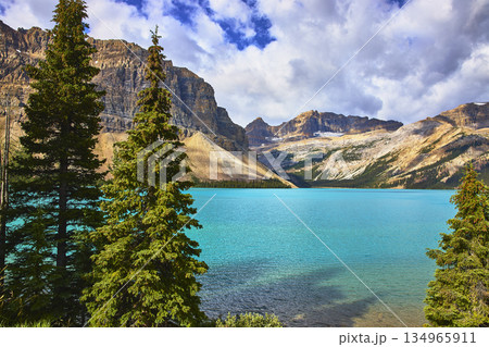 Bow Lake Turquoise Water and Mountain Landscape with Evergreen Trees in Canada 134965911