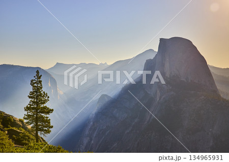 Half Dome Sunrise Sunbeam and Pine Tree Yosemite National Park Scenic View Half Dome Sunrise Sunbeam and Pine Tree Yosemite National Park Scenic View 134965931