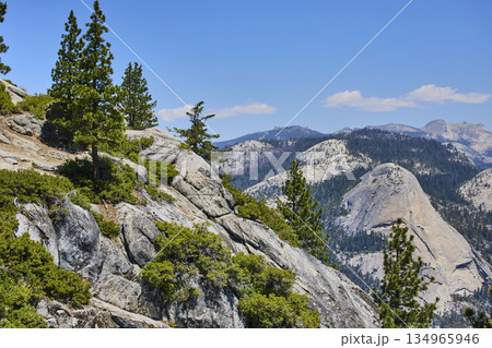 Granite Rock Formations and Pine Trees Overlooking Sierra Nevada Mountains Yosemite 134965946