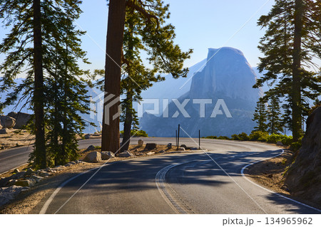 Yosemite Glacier Point Road with Pine Trees and Half Dome in Warm Afternoon Light 134965962