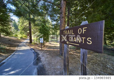 Trail Of 100 Giants Sign Forest Path And Sequoia National Forest Trees Trail Of 100 Giants Sign Forest Path And Sequoia National Forest Trees 134965985