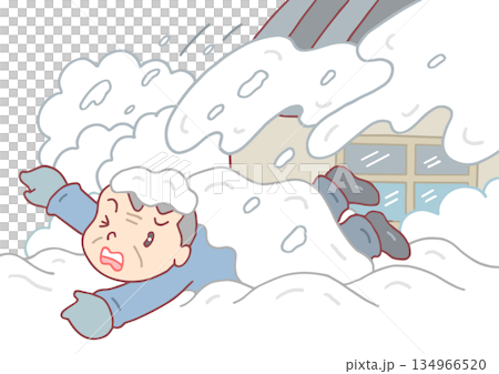 冬季災害與意外事故－落雪、降雪和掩埋事故 134966520