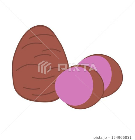 Purple Satoimo (Japanese Taro) Tubers, taro root Purple Satoimo (Japanese Taro) Tubers, taro root 134966851