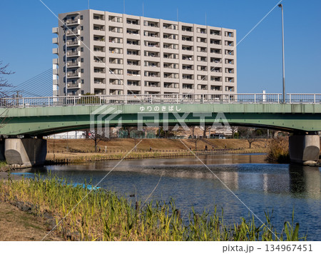 旧中川に架かる「ゆりのき橋」の橋名表示 旧中川に架かる「ゆりのき橋」の橋名表示 134967451