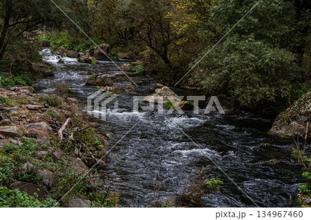 Dashbashi canyon in Georgia in autumn Dashbashi canyon in Georgia in autumn 134967460