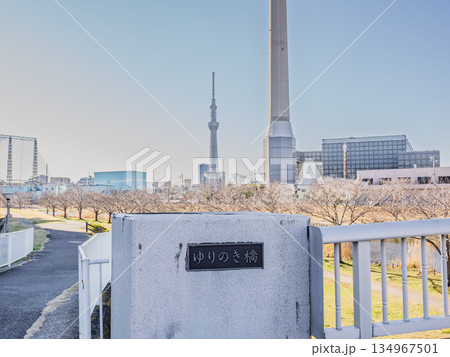 旧中川に架かる「ゆりのき橋」の銘板 134967501