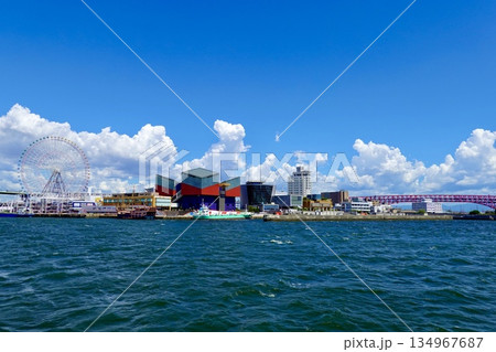 安治川河口の大阪港沖から観覧車と海遊館と港大橋が見える風景 大阪市港区 安治川河口の大阪港沖から観覧車と海遊館と港大橋が見える風景 大阪市港区 134967687