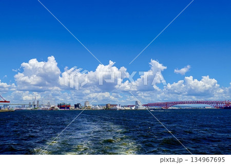 安治川河口の大阪港沖から天保山大橋と海遊館と港大橋が見える風景 大阪市港区 安治川河口の大阪港沖から天保山大橋と海遊館と港大橋が見える風景 大阪市港区 134967695