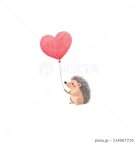 ハートの風船を持っているはりねずみ 134967720
