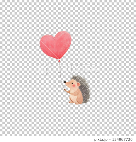 ハートの風船を持っているはりねずみ 134967720