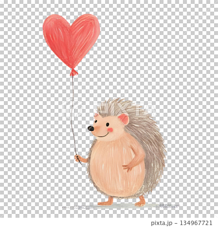 刺蝟拿著心形氣球 134967721