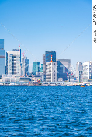 TOKYO, JAPAN - 29, JAN. 2025 : cityscape of Tokyo tower and buildings at daytime in Tokyo bay, Japan 134967790