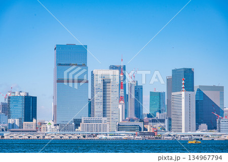 TOKYO, JAPAN - 29, JAN. 2025 : cityscape of Tokyo tower and buildings at daytime in Tokyo bay, Japan 134967794