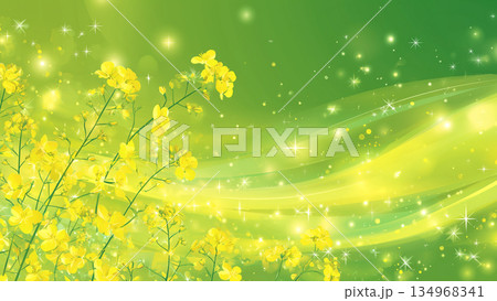 流れる光の線がある黄色い菜の花畑の背景 134968341