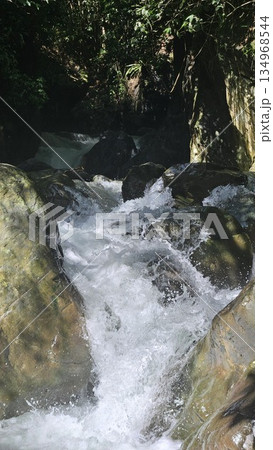 A rapid river with strong currents flows over and around large rocks, creating white water and a small cascade, surrounded by a green, natural landscape. A rapid river with strong currents flows over and around large rocks, creating white water and a small cascade, surrounded by a green, natural landscape. 134968544
