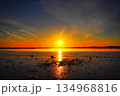 北海道のウトナイ湖の朝日 134968816