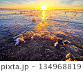北海道のウトナイ湖の朝日 134968819