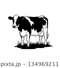Cow silhouette vector art 134969211