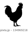 Rooster Farm Bird Silhouette, Black Rooster Bird Silhouette 134969218