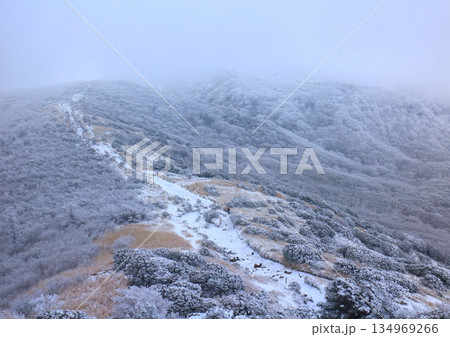 冬のくじゅう連山登山道（沓掛山より・大分県九重町） 134969266