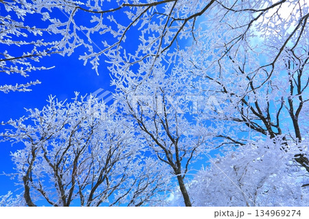 霧氷と青空（冬イメージ・背景素材） 134969274