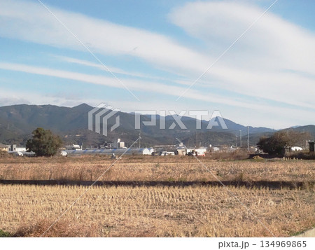 冬空と朝の田園風景（南国市陣山あたりの香長平野と四国山脈） 134969865