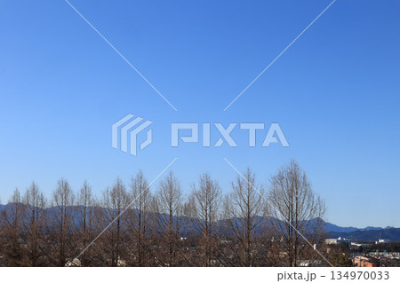 メタセコイヤと連山と街の風景 134970033