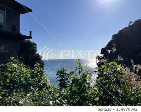 江の島 山ふたつ付近から望む相模湾の風景 江の島 山ふたつ付近から望む相模湾の風景 134970042