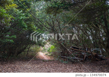 日本の兵庫県赤穂市の雄鷹台山のとても美しい風景 134970074