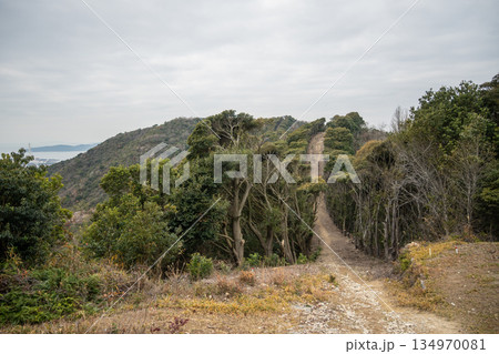 日本の兵庫県赤穂市の雄鷹台山のとても美しい風景 日本の兵庫県赤穂市の雄鷹台山のとても美しい風景 134970081