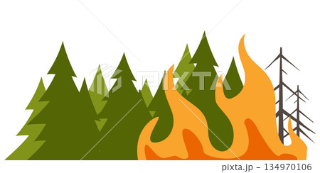 Burning forest spruces in fire flames, nature disaster concept illustration background. Vector illustration. 134970106