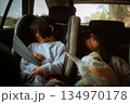 Two Adorable Sleeping Children Snuggled Together in the Backseat of a Car 134970178