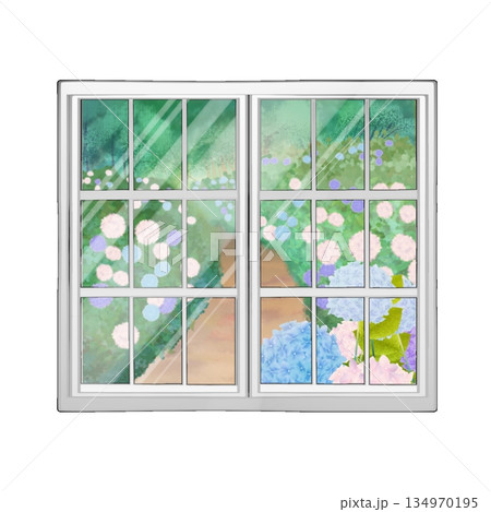 窓に映る紫陽花 134970195