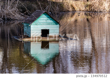 Floating duck house on the lake 134970512
