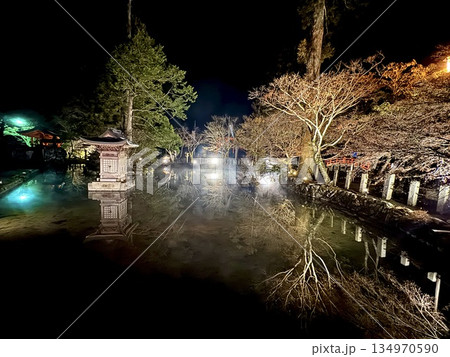龍泉寺 池ライトアップ 龍泉寺 池ライトアップ 134970590