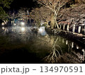 龍泉寺　池ライトアップ 134970591