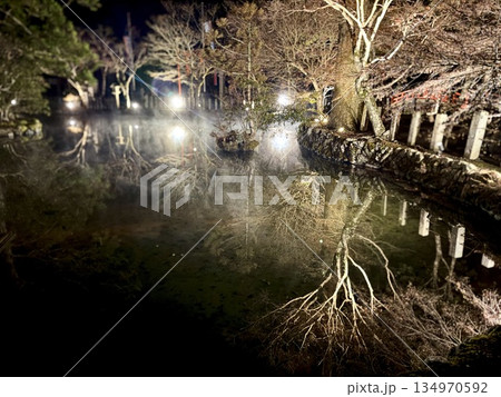 龍泉寺　池ライトアップ 134970592