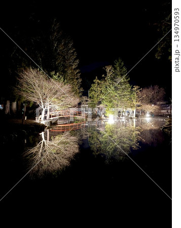 龍泉寺　池ライトアップ 134970593