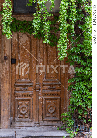 Old brick house covered with creeping ivy plant 134970845