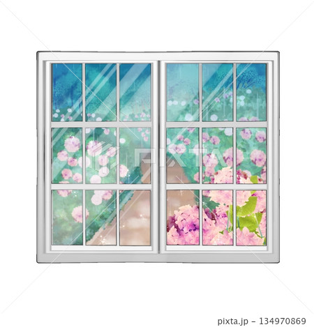 窓に映る紫陽花 134970869