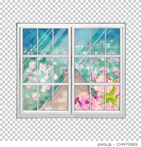 窓に映る紫陽花 134970869