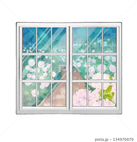 窓に映る紫陽花 134970870