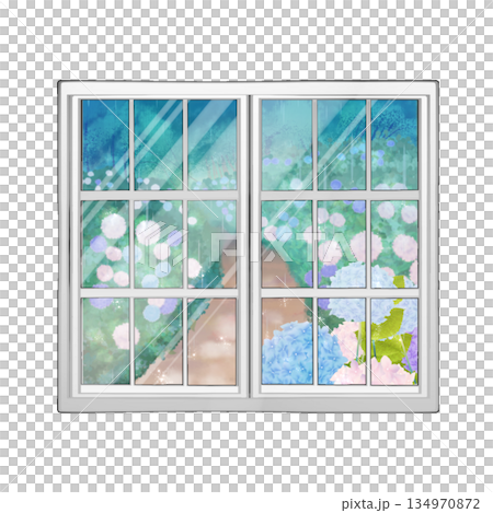 窓に映る紫陽花 134970872