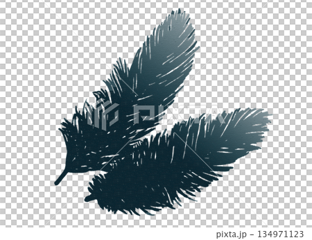 鳥翼輪廓 134971123