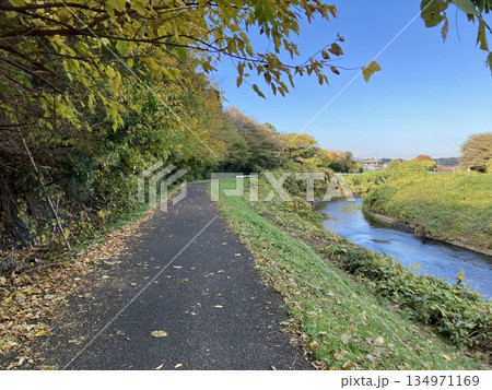 青空の下に続くカーブした道と川の風景 青空の下に続くカーブした道と川の風景 134971169