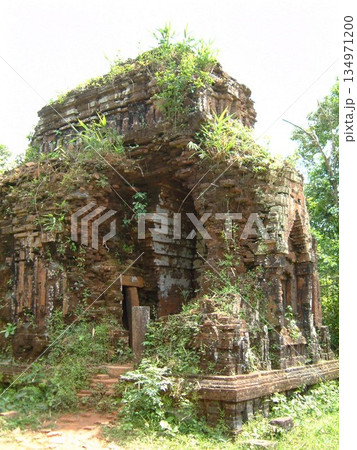 ベトナム　ミーソン遺跡の旅 134971200