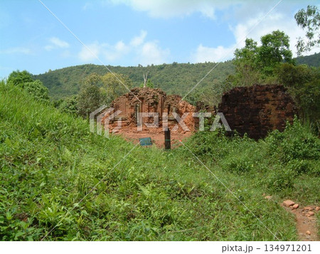 ベトナム　ミーソン遺跡の旅 134971201