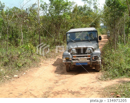 ベトナム　ミーソン遺跡の旅 134971205