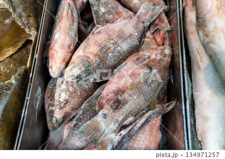 Frozen Whole Fish in Ice Crate for Fresh Seafood Display and Market Inventory Image Stock 134971257