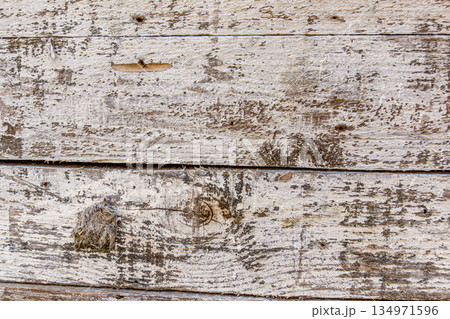 Rustic Wooden Plank with White Paint Texture Background Rustic Wooden Plank with White Paint Texture Background 134971596